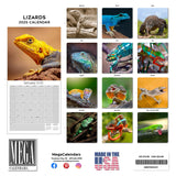 Lizards Wall Calendar 2025