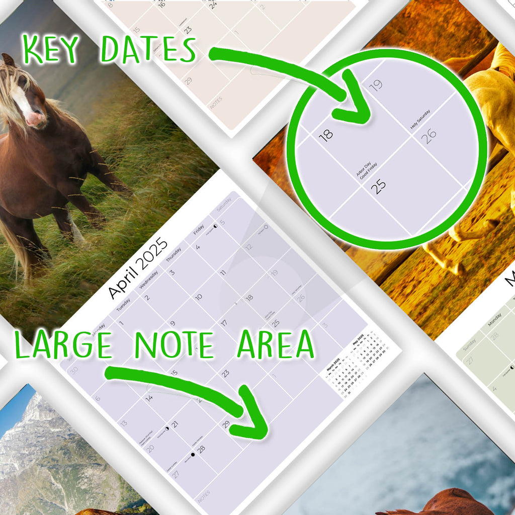 Horses Wall Calendar 2025