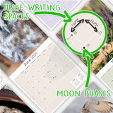 Owls Wall Calendar 2025