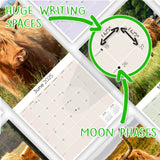 Highland Cows Calendar 2025