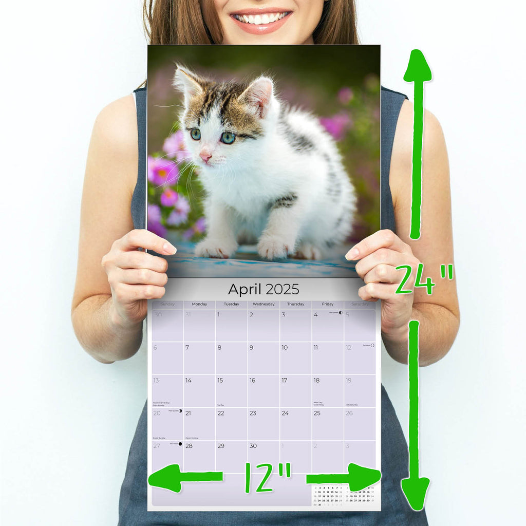 Kittens Wall Calendar 2025