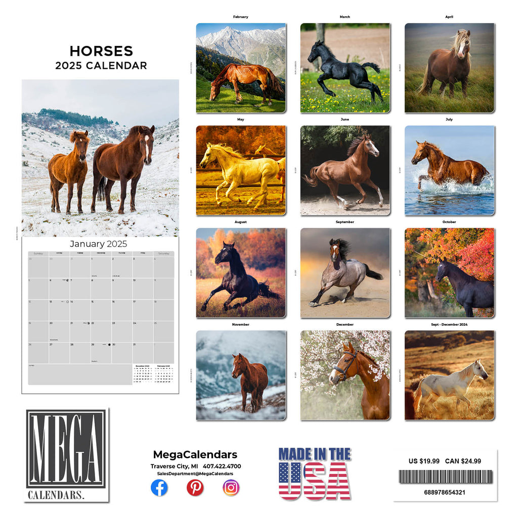 Horses Wall Calendar 2025