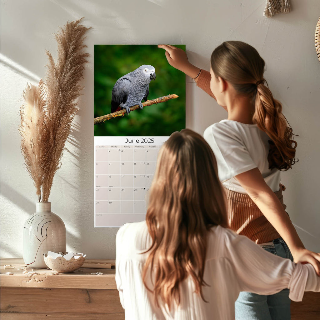 African Greys Wall Calendar 2025