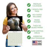 African Greys Wall Calendar 2025