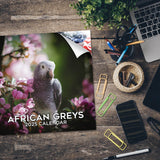 African Greys Wall Calendar 2025