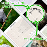 African Greys Wall Calendar 2025