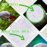 African Greys Wall Calendar 2025