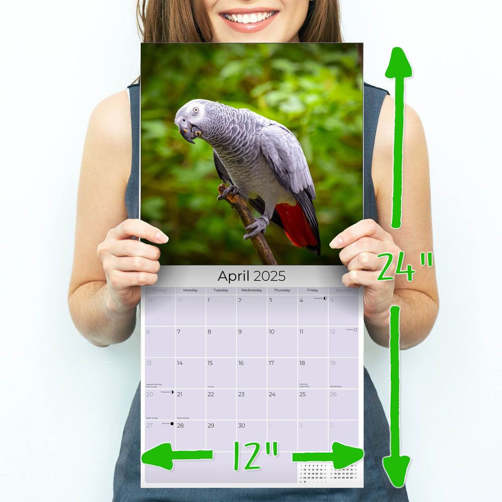 African Greys Wall Calendar 2025