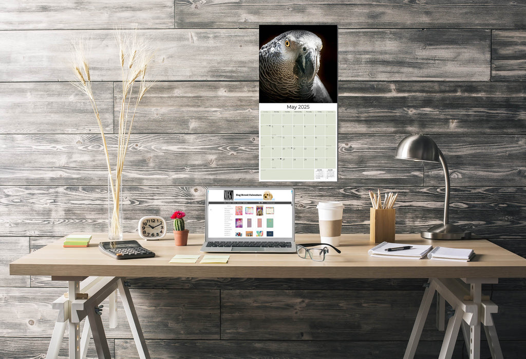 African Greys Wall Calendar 2025