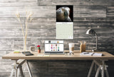 African Greys Wall Calendar 2025