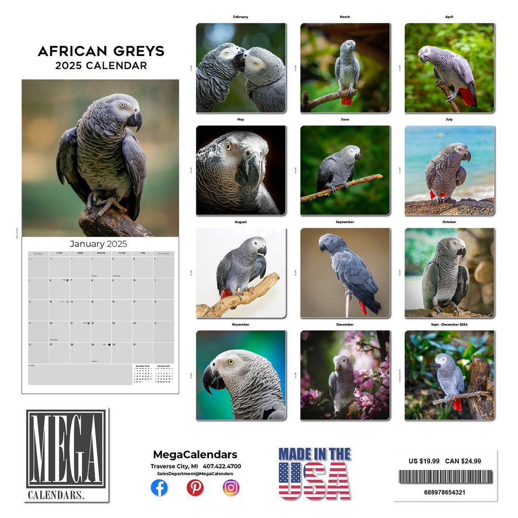 African Greys Wall Calendar 2025