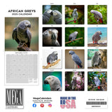 African Greys Wall Calendar 2025