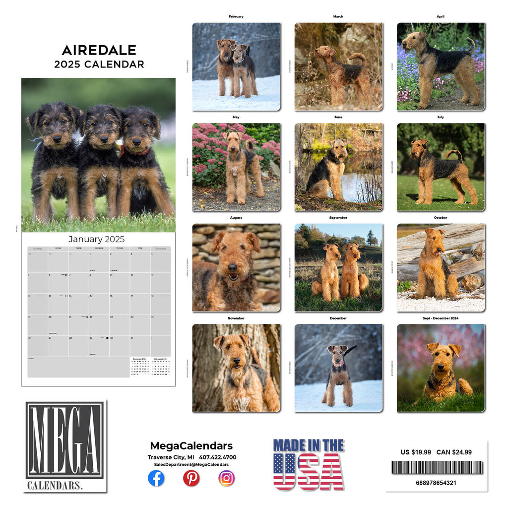 Airedale Wall Calendar 2025