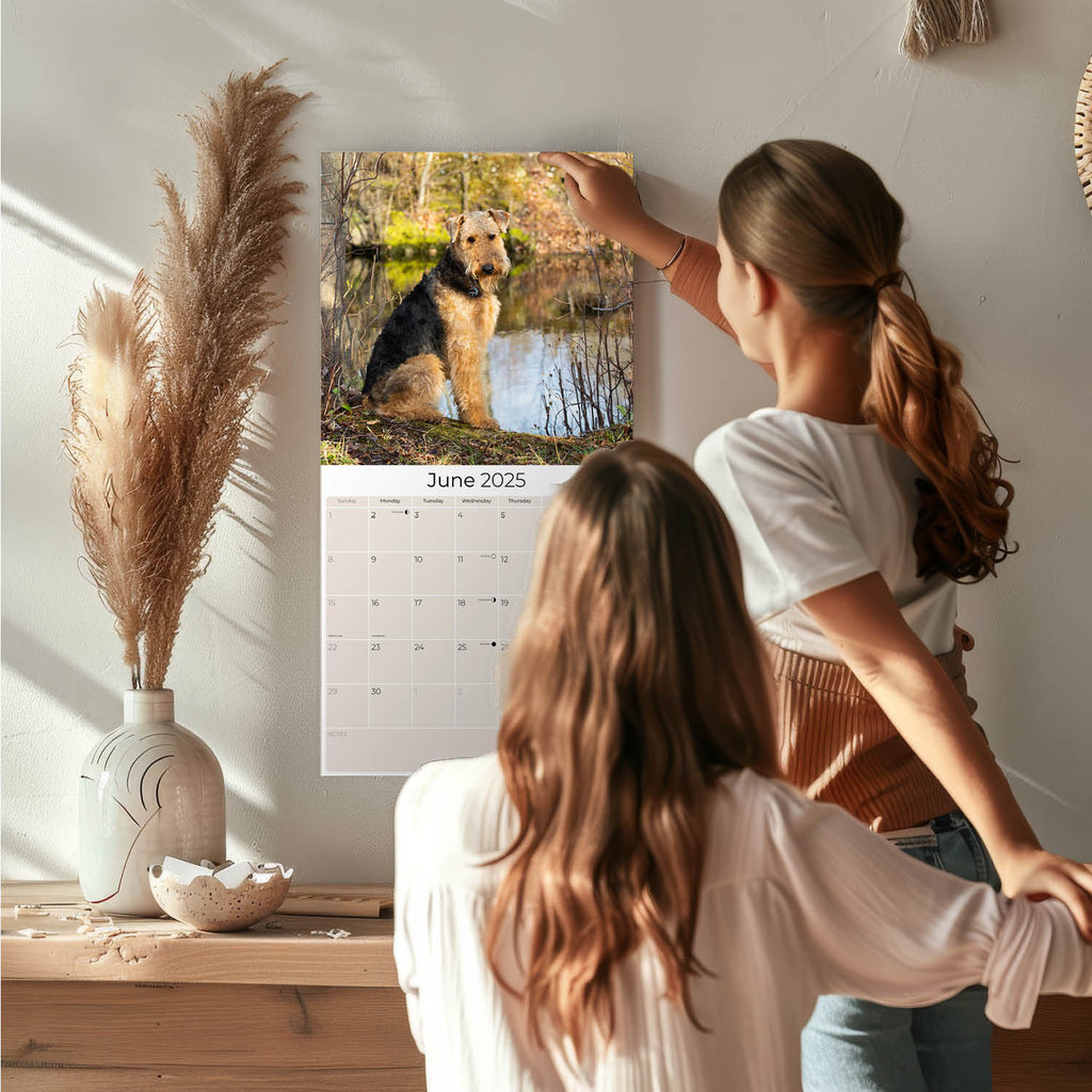 Airedale Wall Calendar 2025