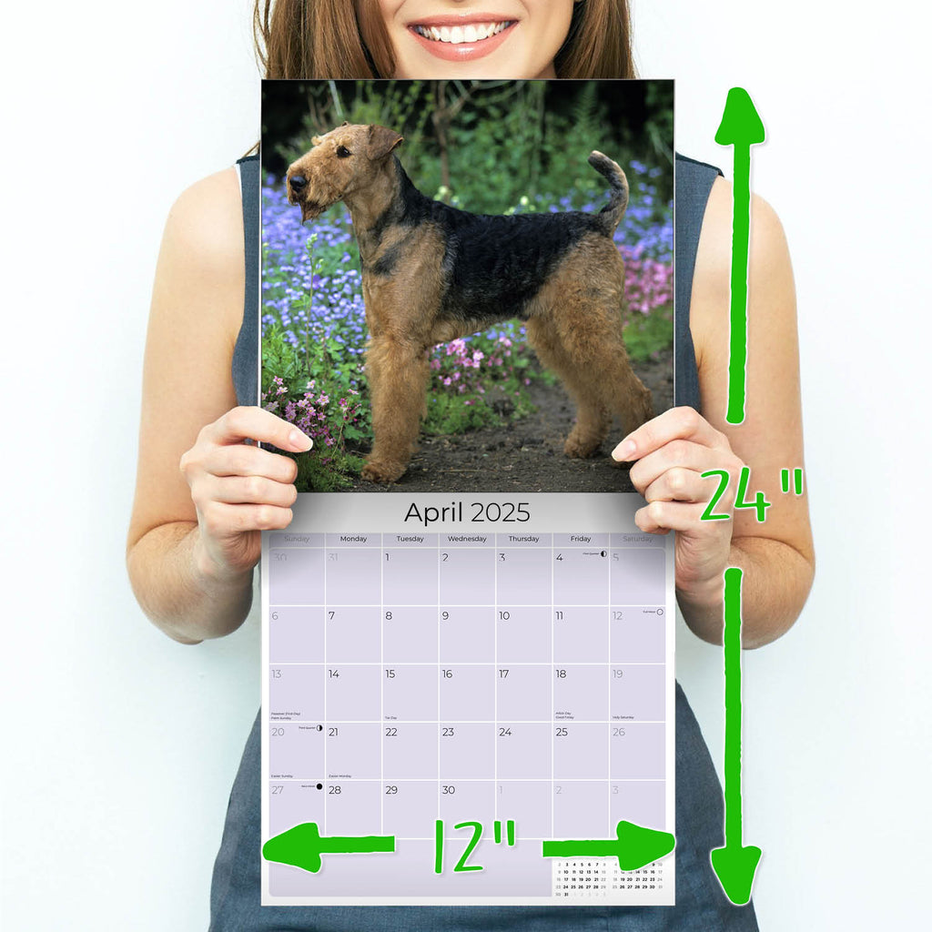 Airedale Wall Calendar 2025