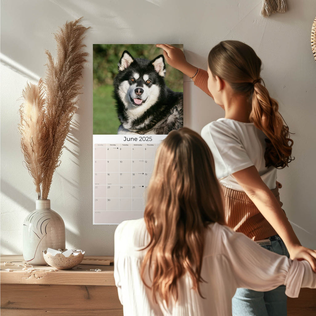 Alaskan Malamute Wall Calendar 2025