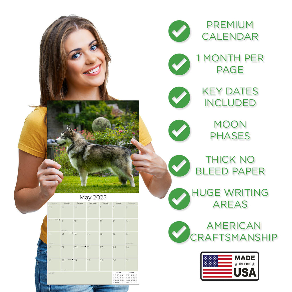 Alaskan Malamute Wall Calendar 2025