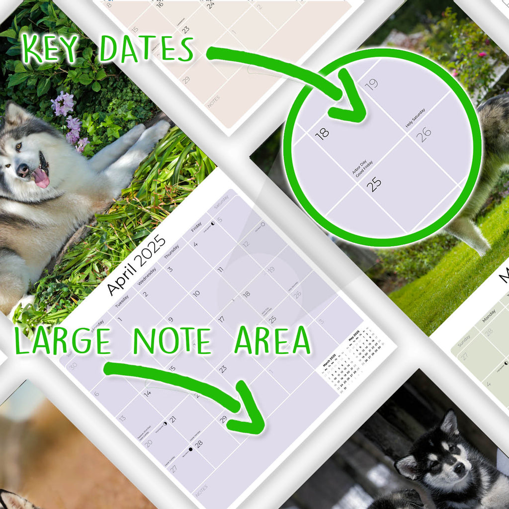 Alaskan Malamute Wall Calendar 2025