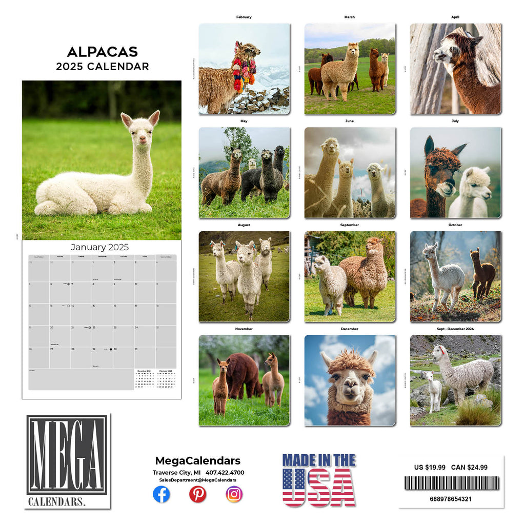 Alpacas Wall Calendar 2025