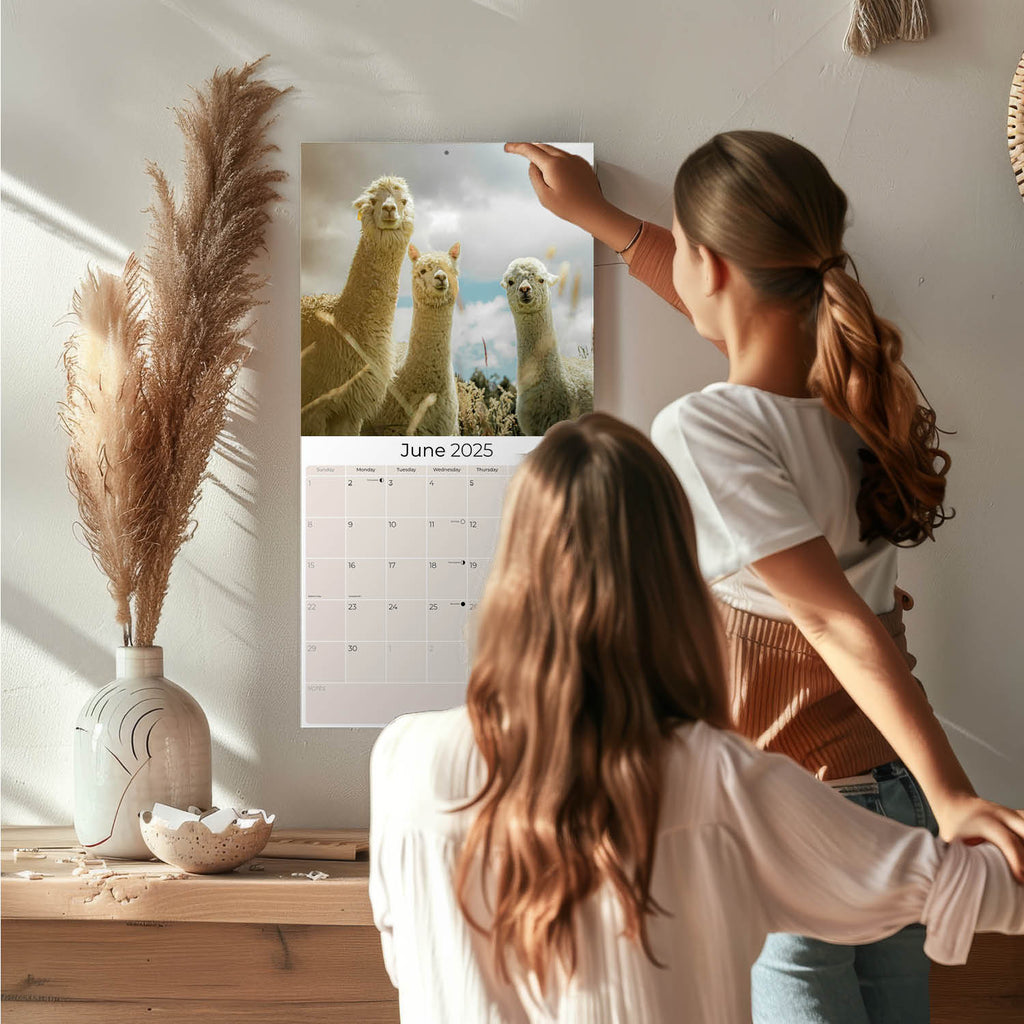 Alpacas Wall Calendar 2025