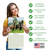 Alpacas Wall Calendar 2025