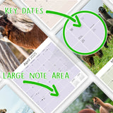 Alpacas Wall Calendar 2025