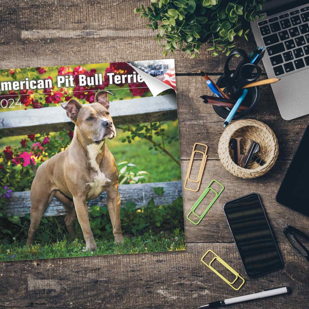 American Pit Bull Terrier Wall Calendar 2024