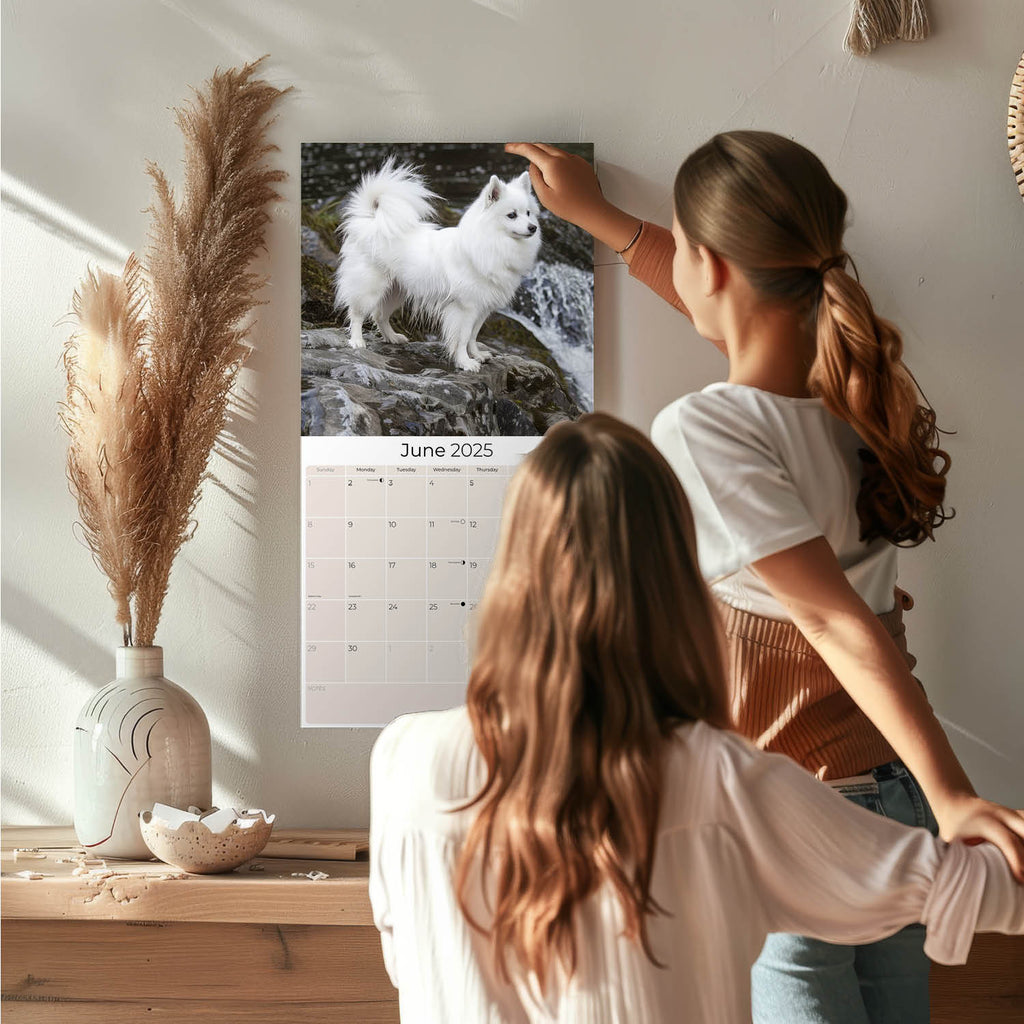 American Eskimo Wall Calendar 2025