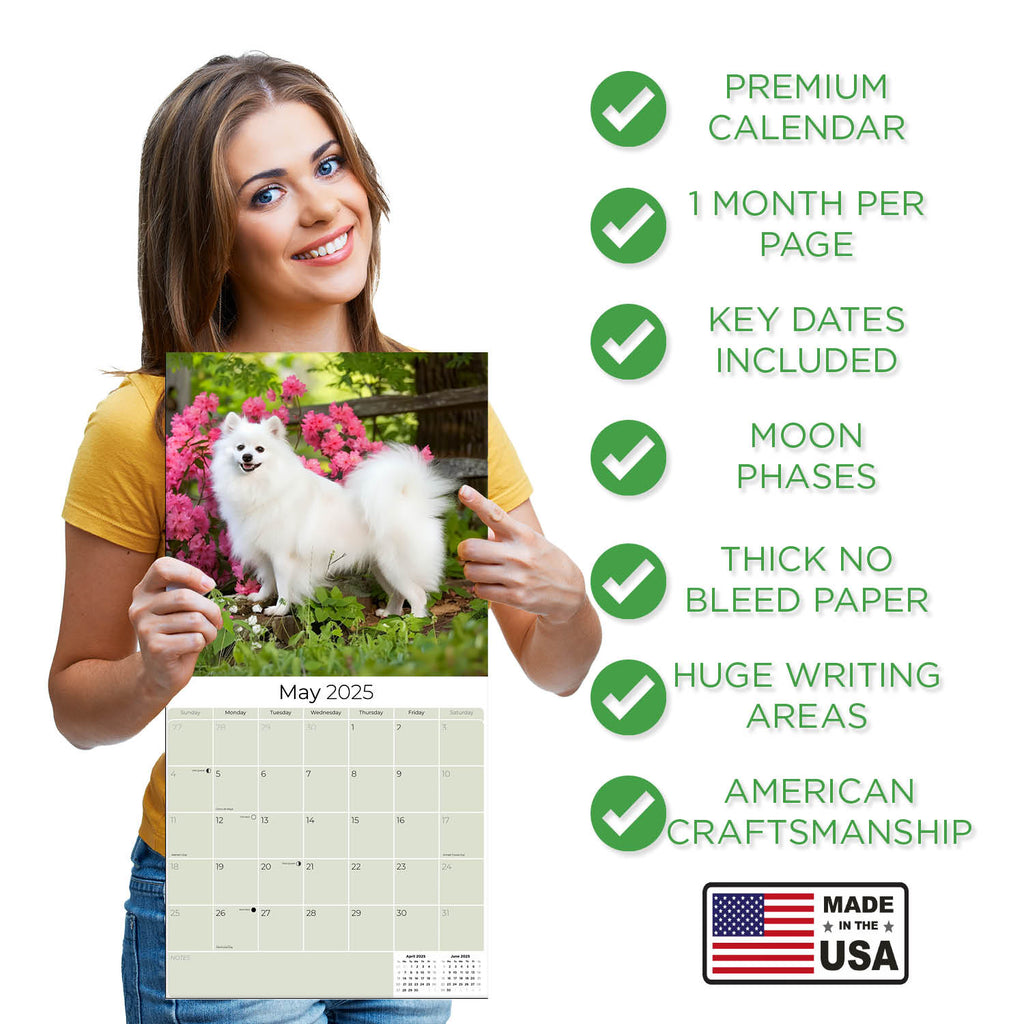 American Eskimo Wall Calendar 2025