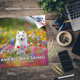 American Eskimo Wall Calendar 2025