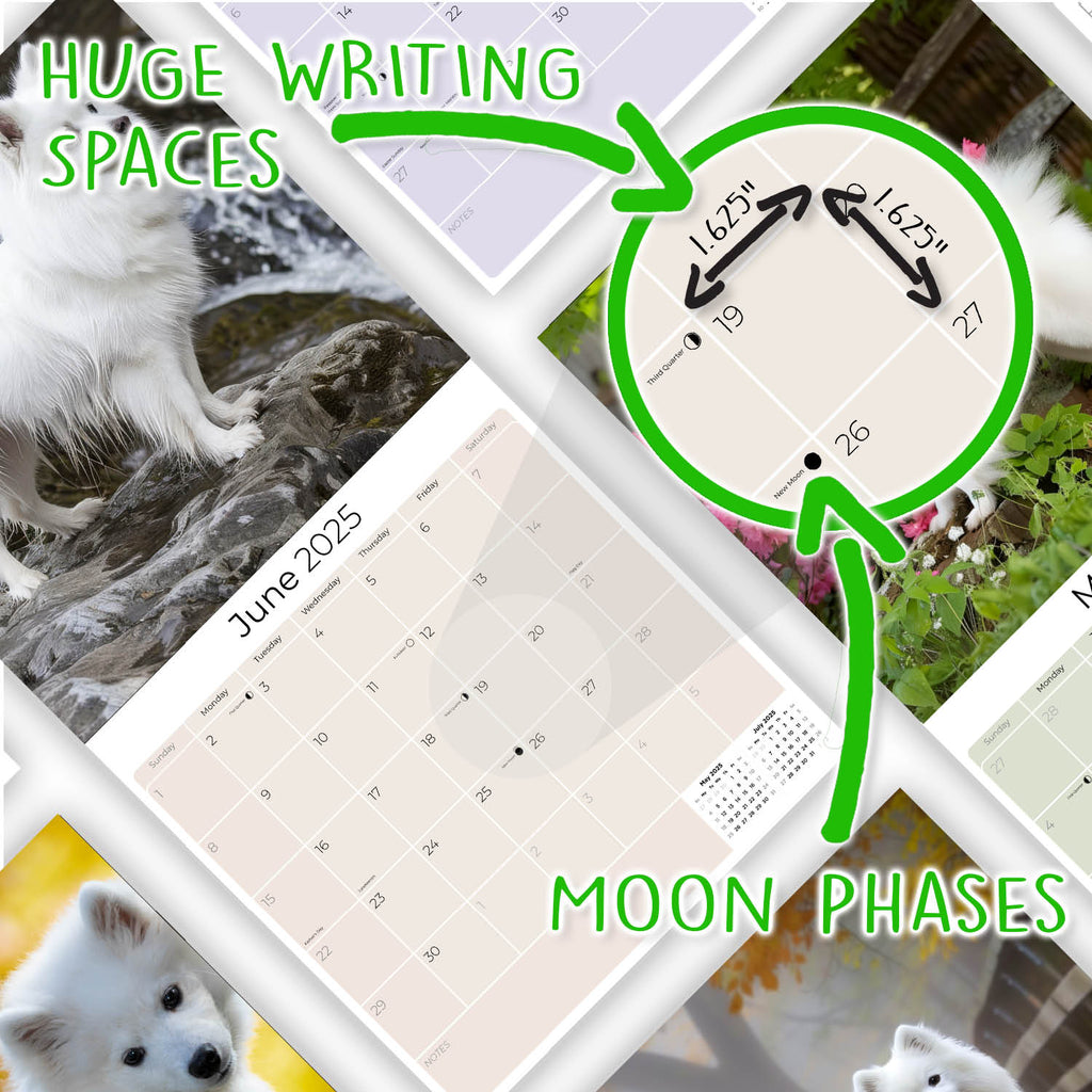American Eskimo Wall Calendar 2025