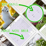 American Eskimo Wall Calendar 2025