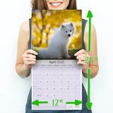 American Eskimo Wall Calendar 2025