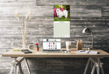 American Eskimo Wall Calendar 2025