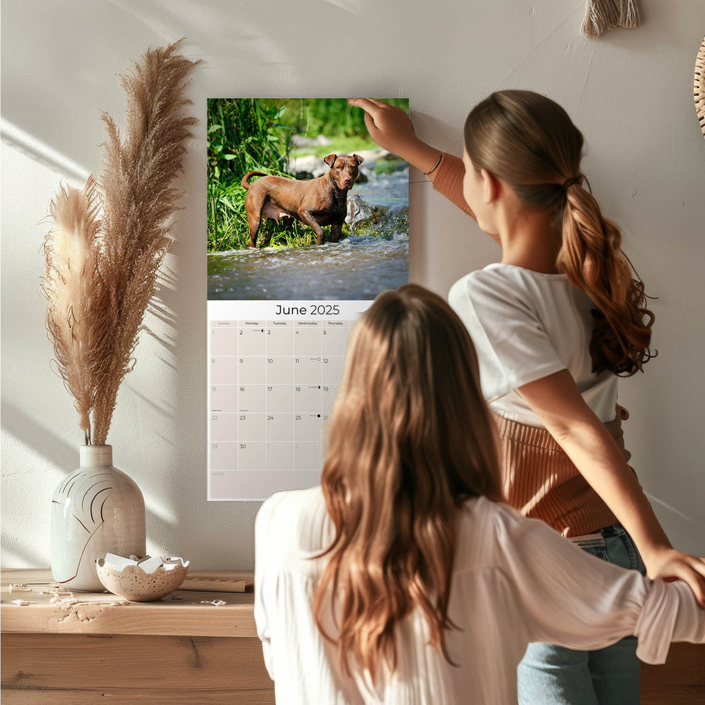 American Pit Bull Terrier Wall Calendar 2025