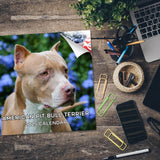 American Pit Bull Terrier Wall Calendar 2025