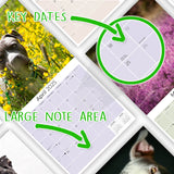 American Pit Bull Terrier Wall Calendar 2025