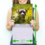 American Pit Bull Terrier Wall Calendar 2025