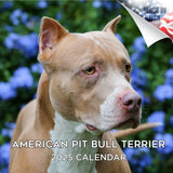 American Pit Bull Terrier Wall Calendar 2025