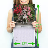 American Staffordshire Calendar 2025