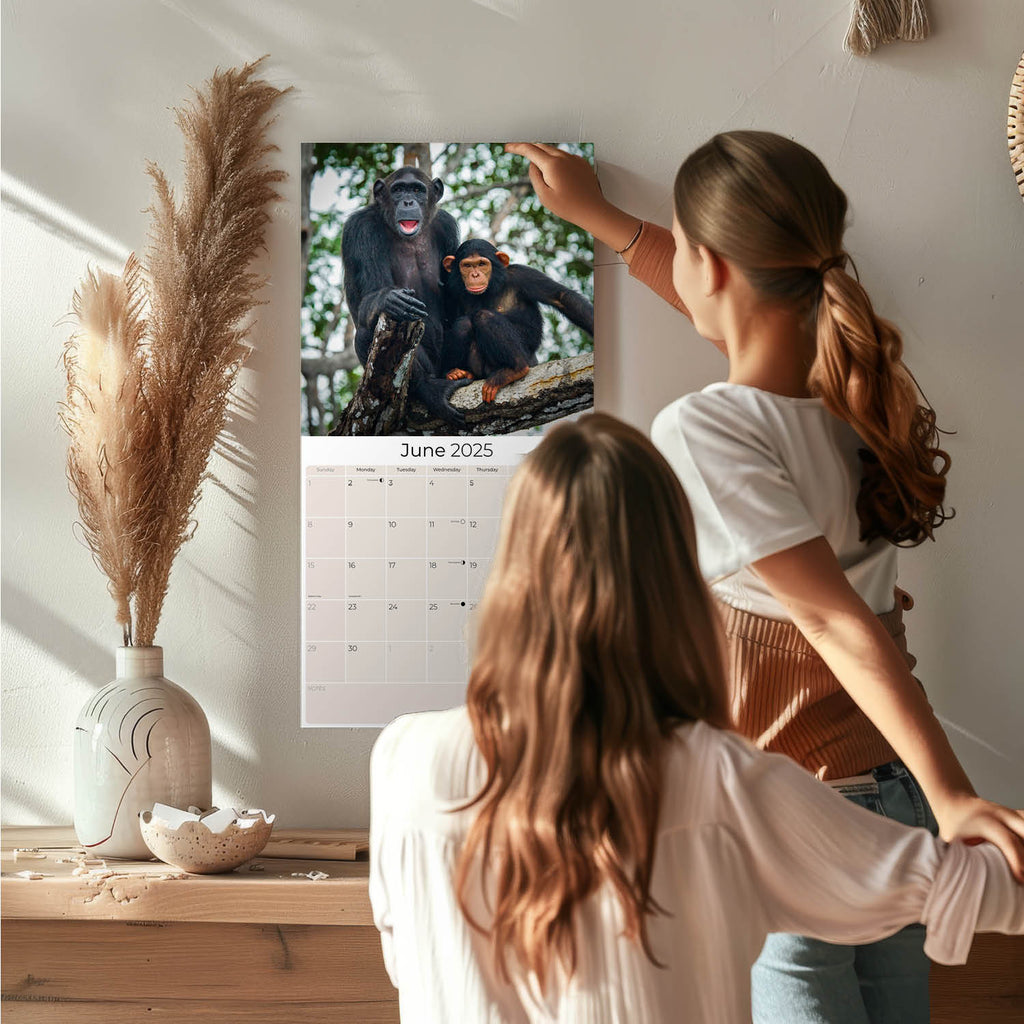 Apes Wall Calendar 2025