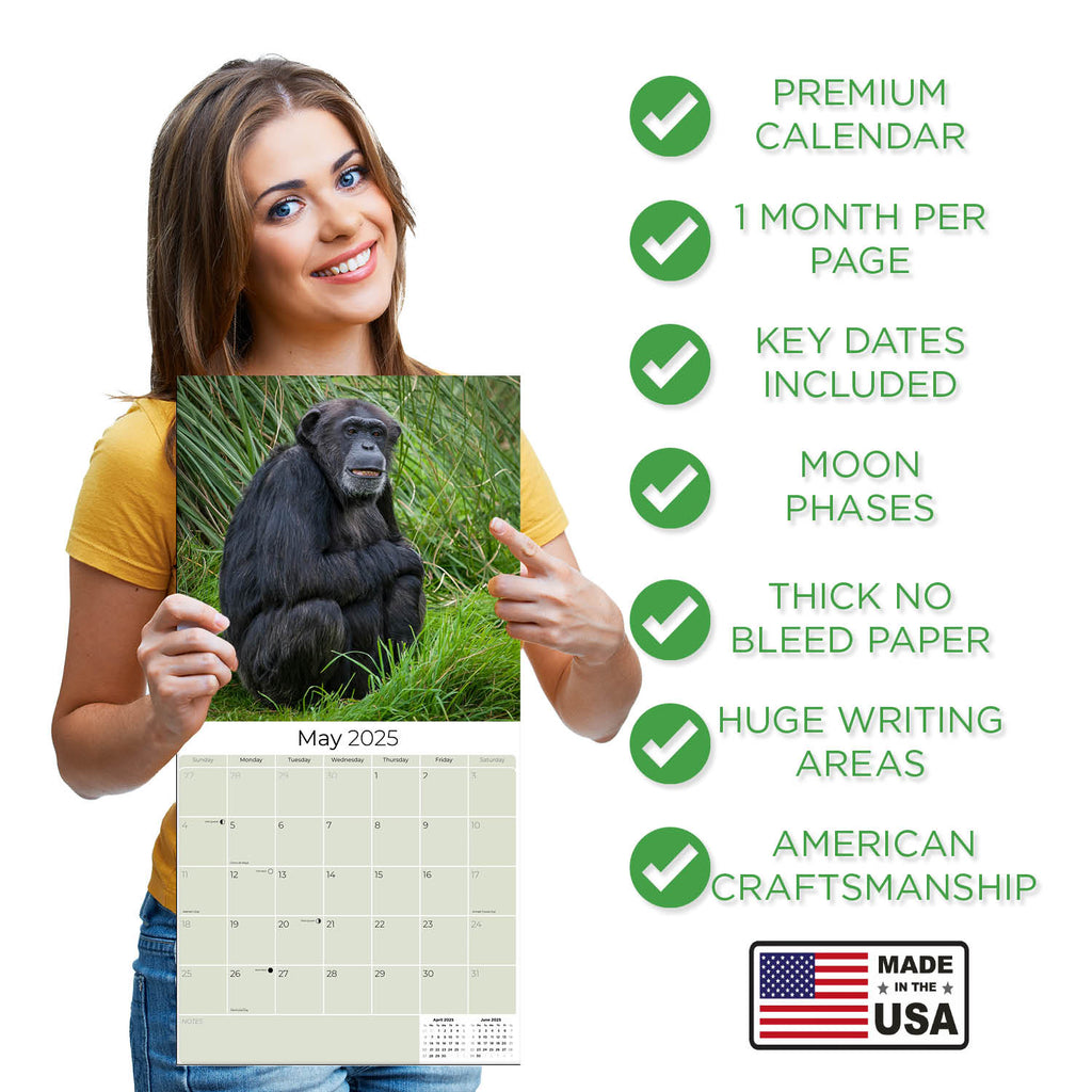 Apes Wall Calendar 2025