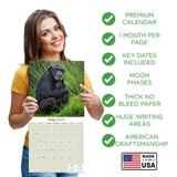 Apes Wall Calendar 2025