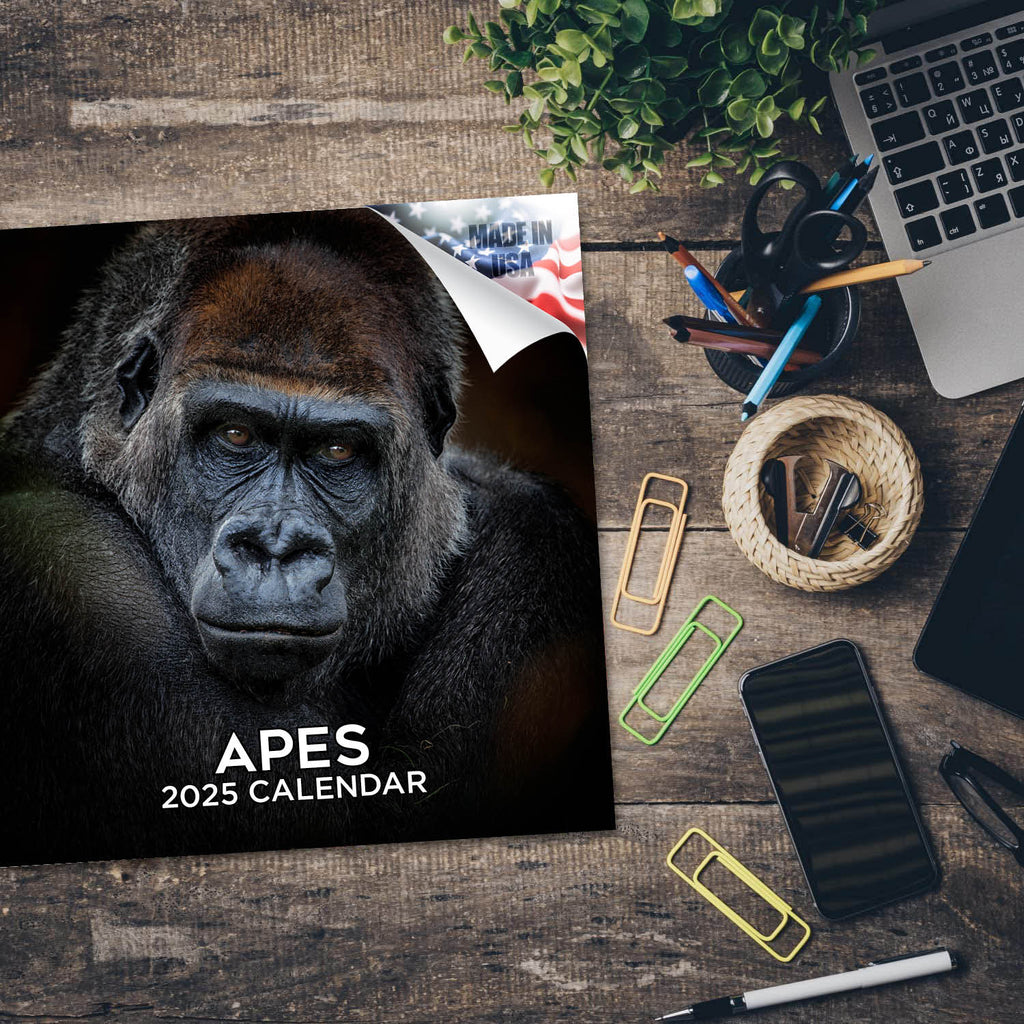 Apes Wall Calendar 2025