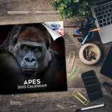 Apes Wall Calendar 2025