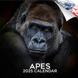 Apes Wall Calendar 2025