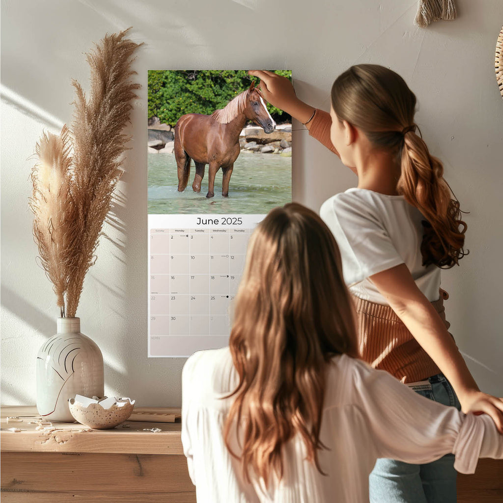 Arabian Horses Wall Calendar 2025