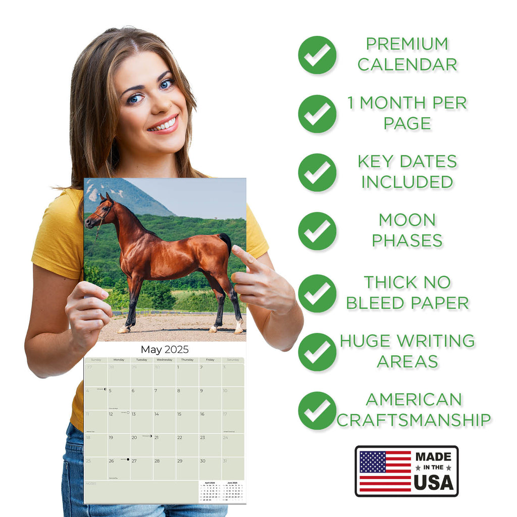 Arabian Horses Wall Calendar 2025