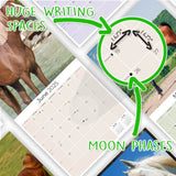 Arabian Horses Wall Calendar 2025