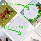 Arabian Horses Wall Calendar 2025